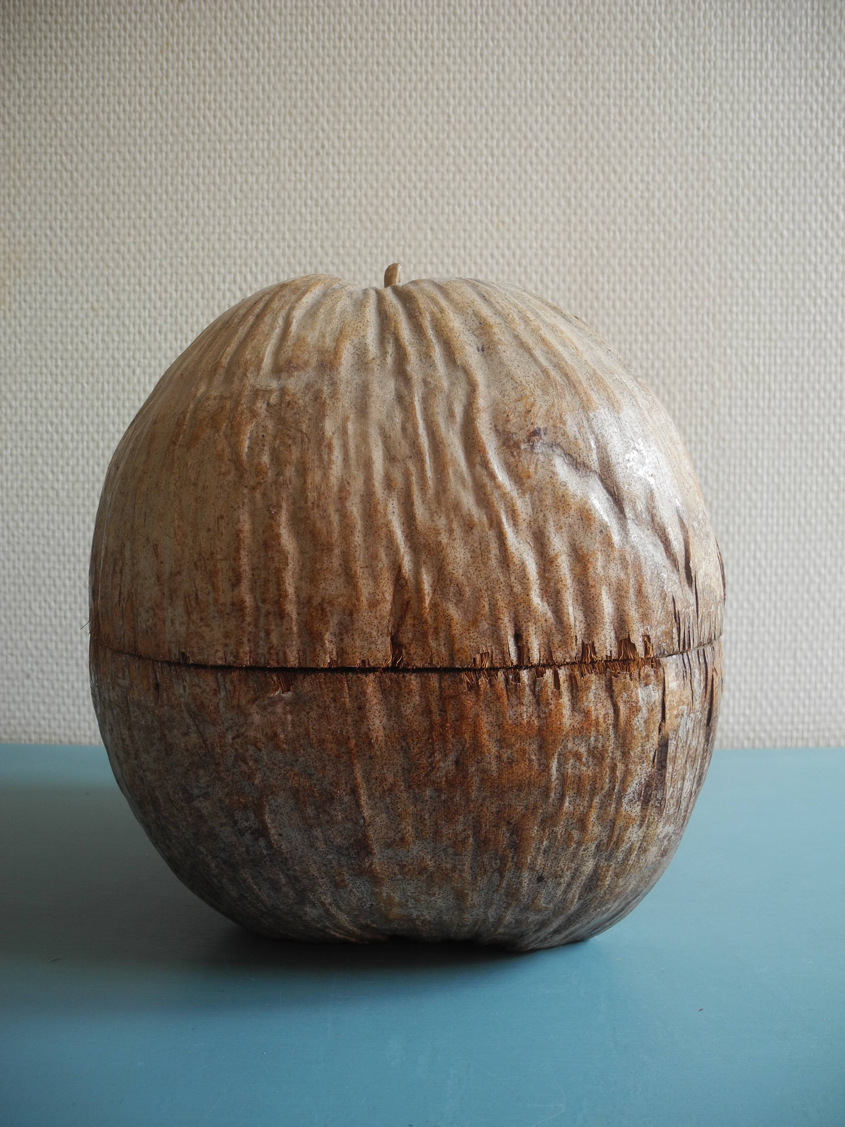 vintage ice bucket coconut Nocodaf Abidjan 70s