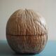 vintage ice bucket coconut Nocodaf Abidjan 70s