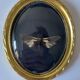 Butterfly under bulging frame