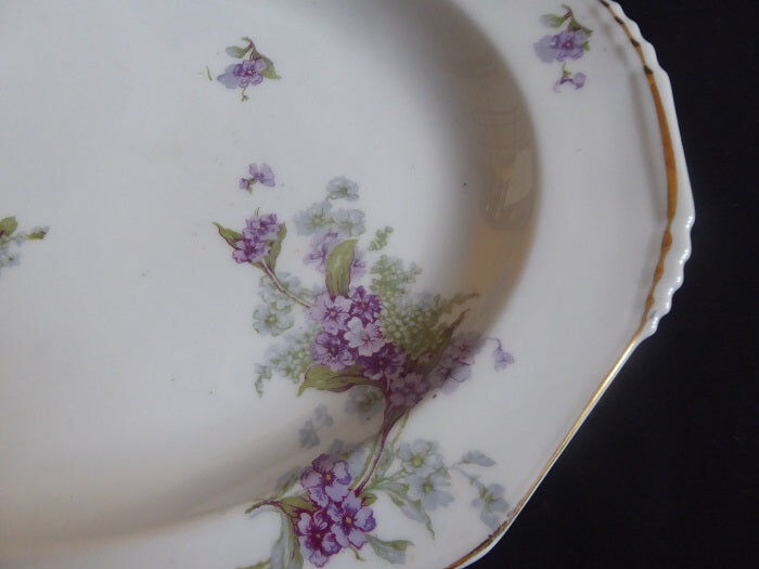 Limoges porcelain dish B&C Bernardaud