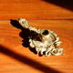Bronze hand candle holder, cellar rat