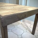 Roger Capron Herbier - Rectangular coffee table with patinated steel frame