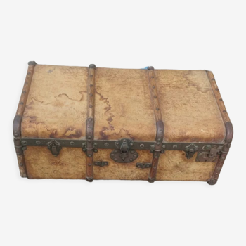 Travel trunk in peccary (wild pig), wood, copper circa 1880