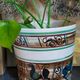 XXL ceramic planter from Saint-Pair-Sur-Mer from the NEUSTRICER earthenware factory, 1960s