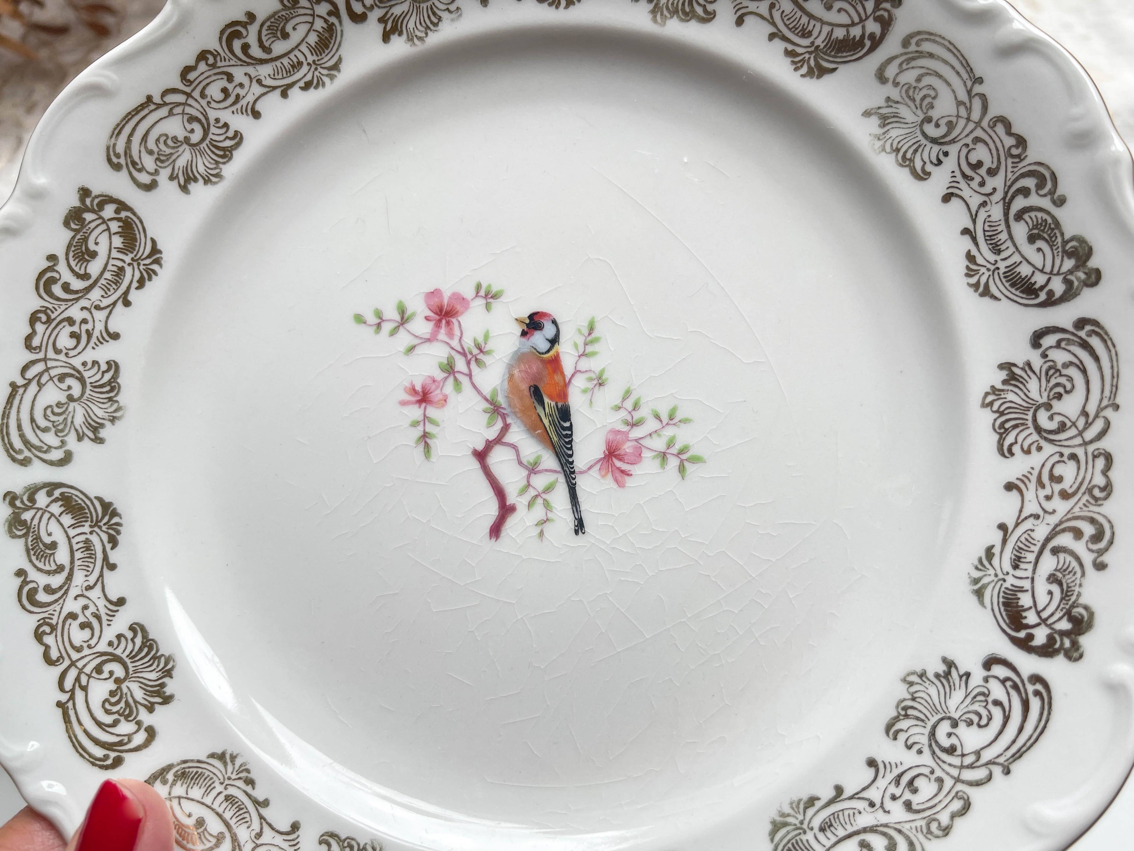 6 Small vintage plates in gold white porcelain Bavaria bird motif