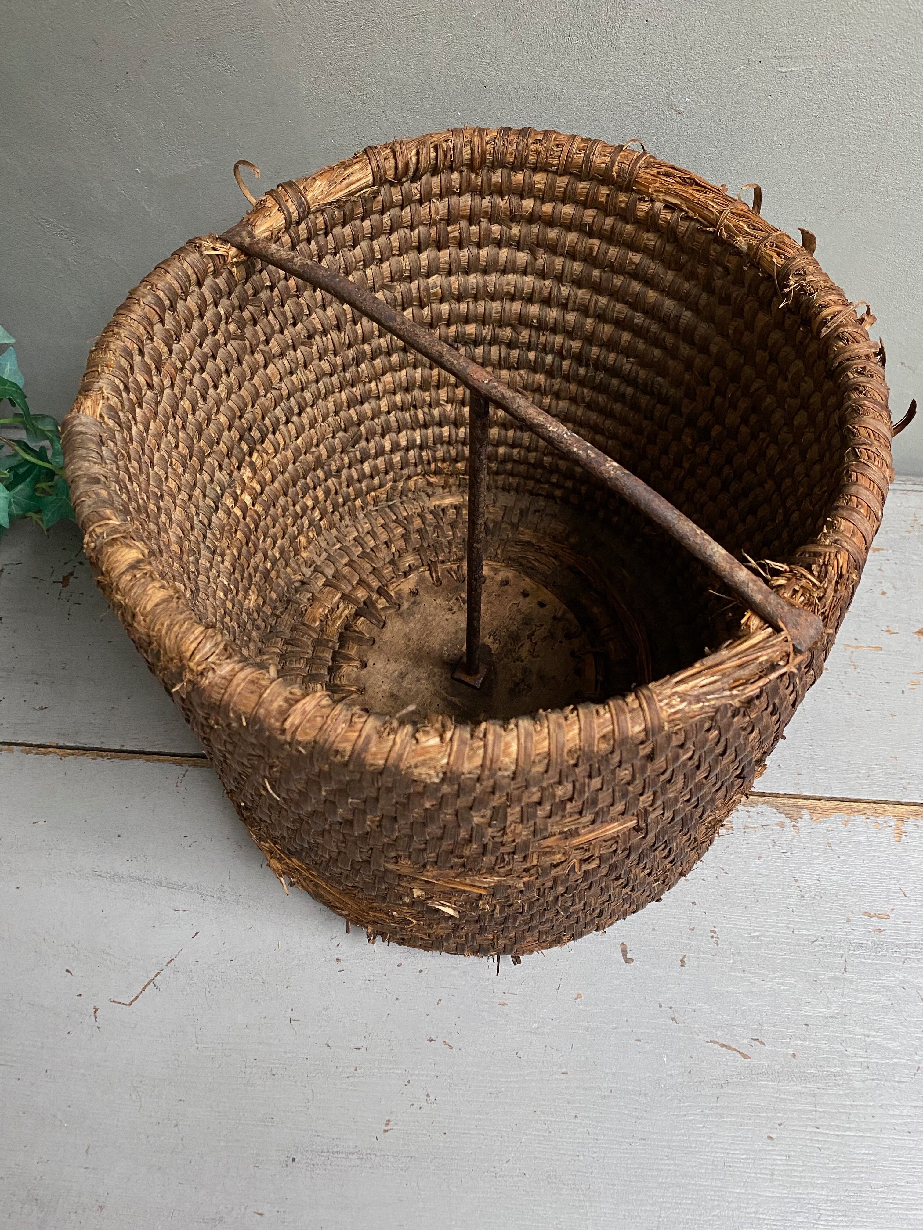 Ancient grain measurement