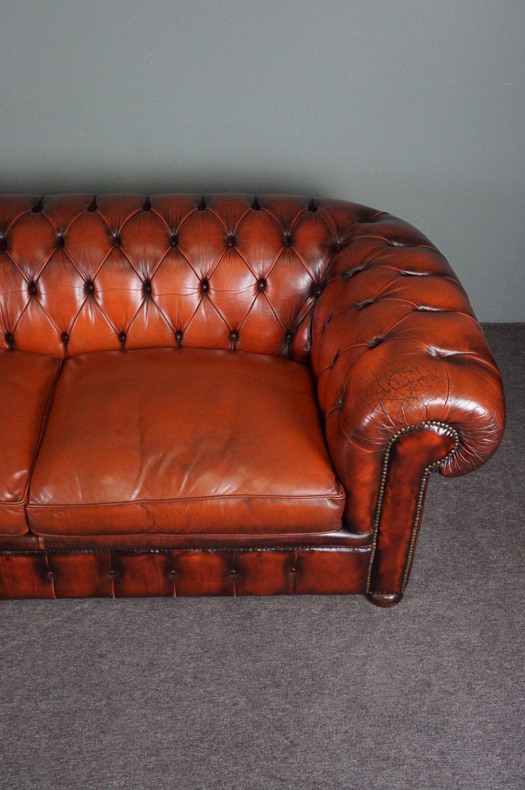 Chesterfield sofa 2.5 seater cowhide leather