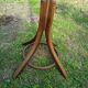 Parrot coat rack Baumann