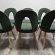 Dining Chairs by Antonin Suman, 1960s, Set of 6