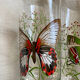 Vintage butterfly orangeade glasses