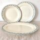 Set of ironstone dishes Salins France Régamier