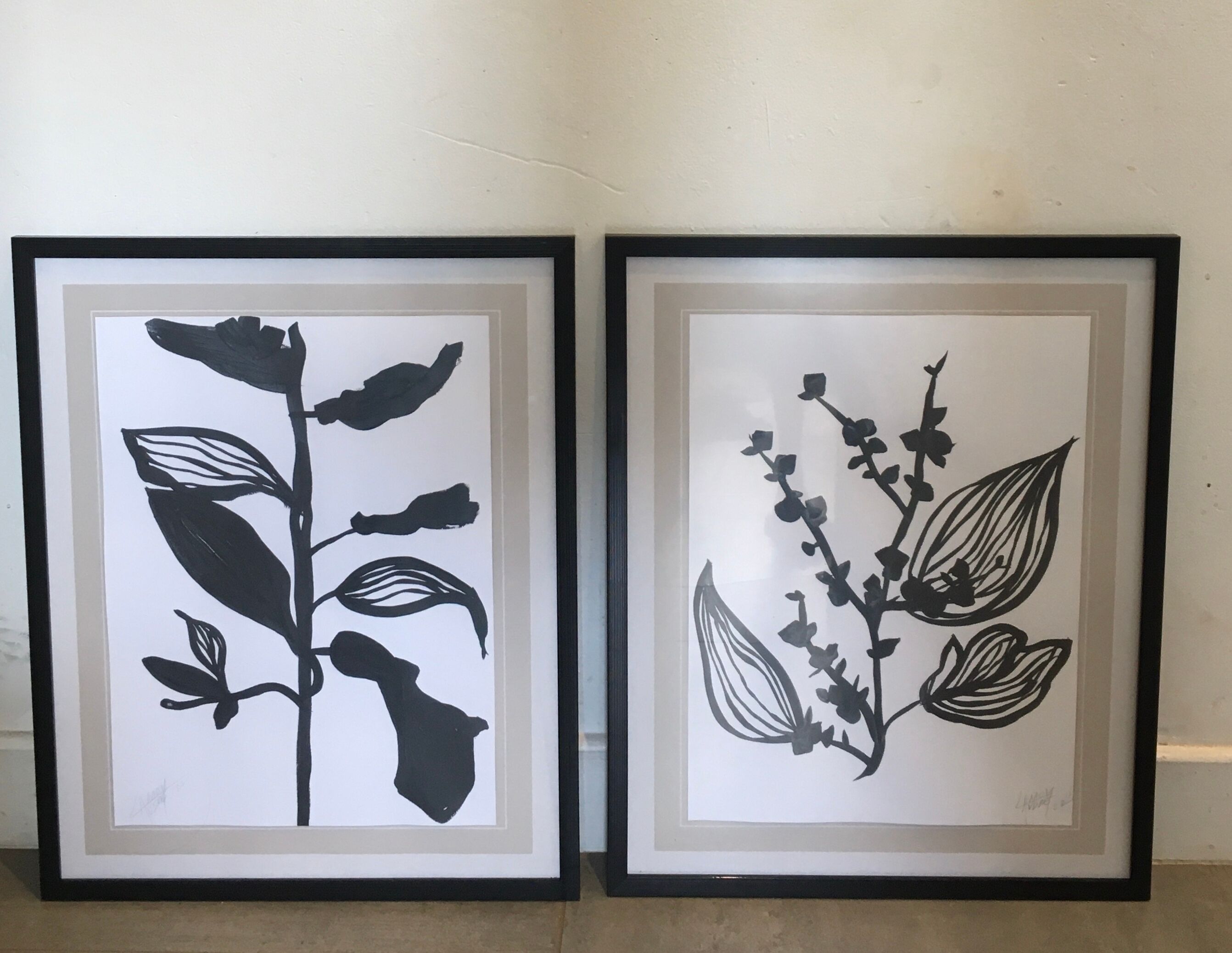 Diptych illustration plants caly