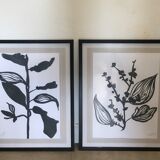 Diptych illustration plants caly