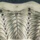 Lalique ashtray