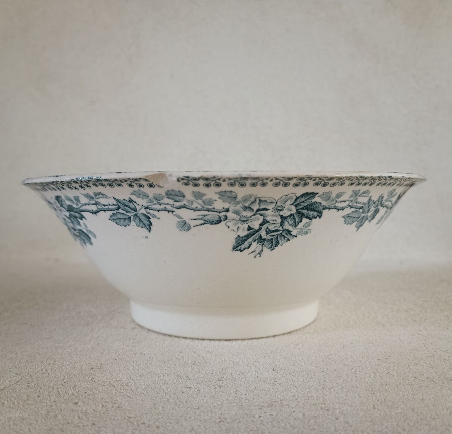 Salad bowl Guadeloupe Creil-Montereau