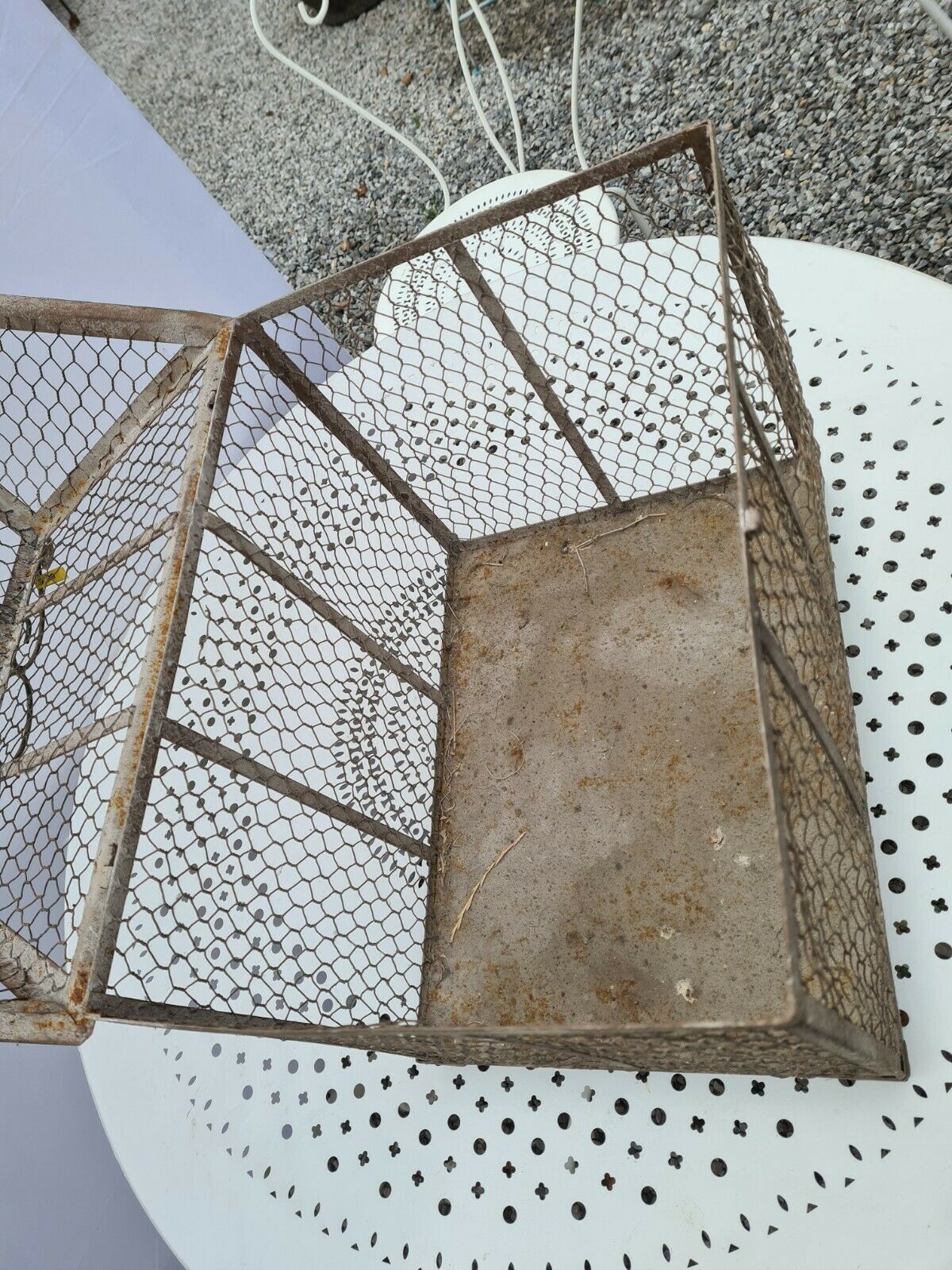 Iron bird cage
