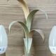 Vintage wrought iron wall sconce in the shape of a flower/leaf