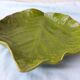 Leaf dish Pol Chambost