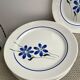 7 dinner plates