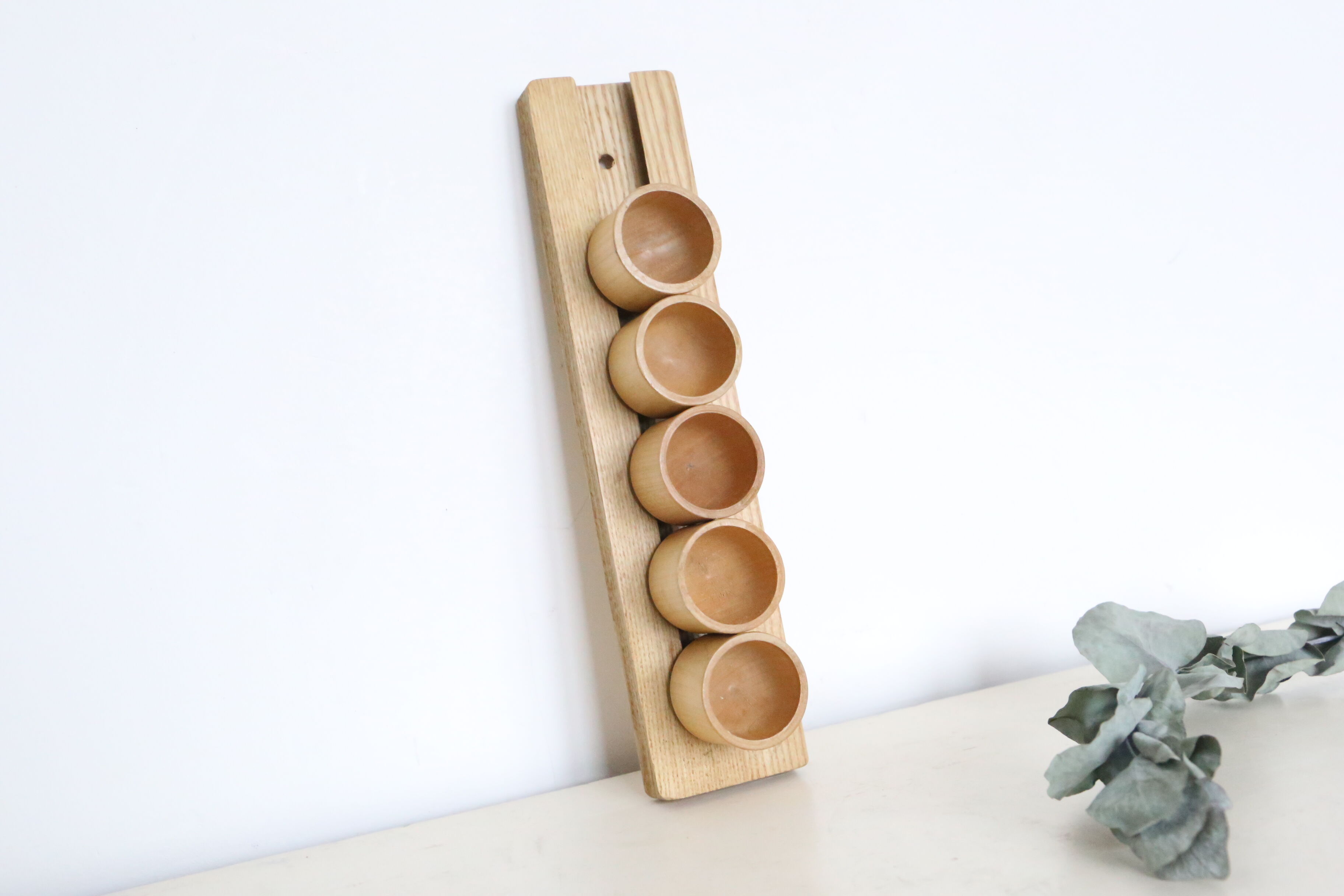 Set of 5 cockroaches on their wooden, vintage support