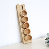 Set of 5 cockroaches on their wooden, vintage support