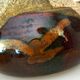 Vegetable dish, covered pot, glazed ceramic art, 1970s, signature to be identified