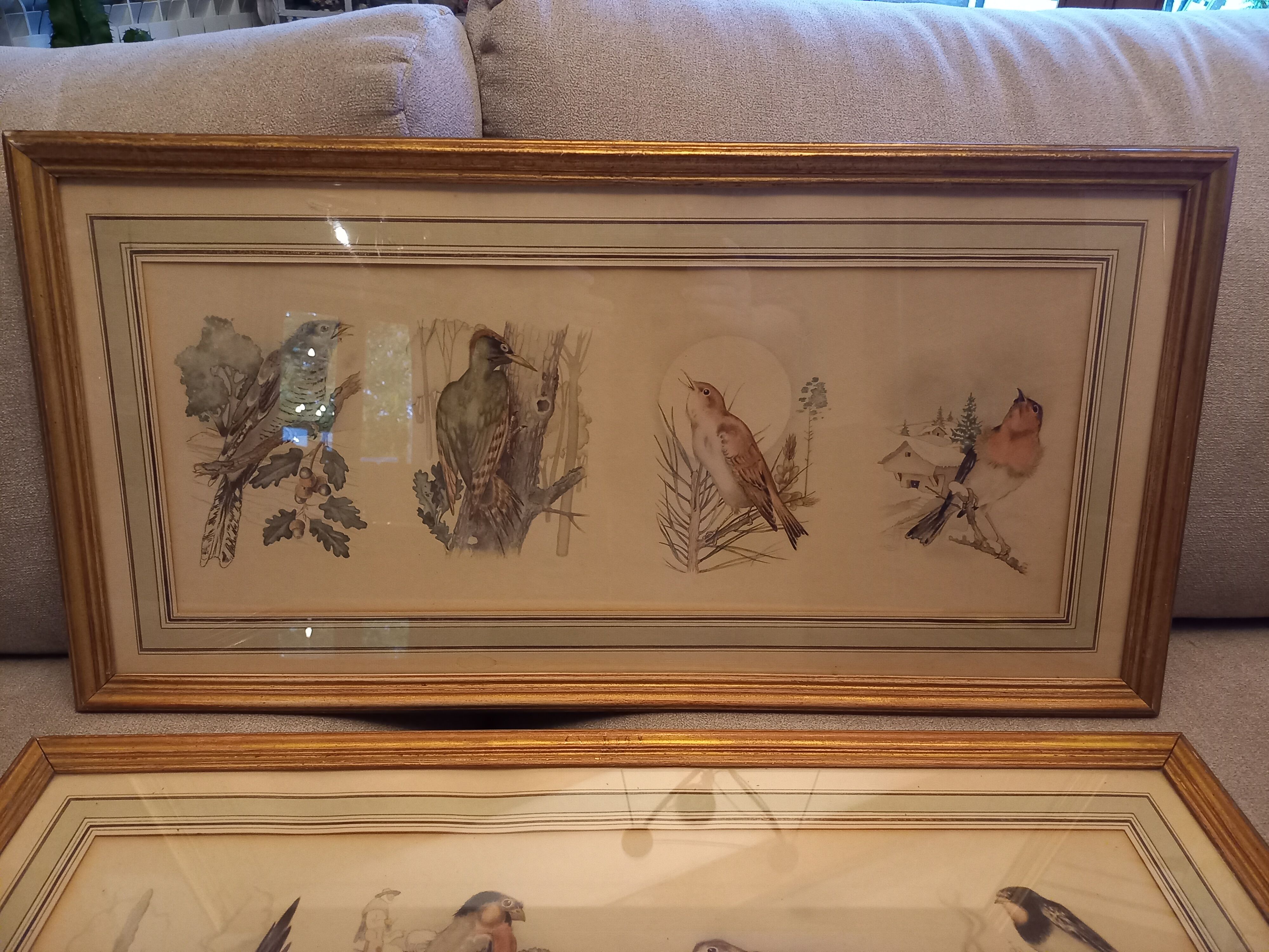 Lot 2 watercolors ancient birds
