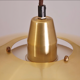 Danish gold suspension