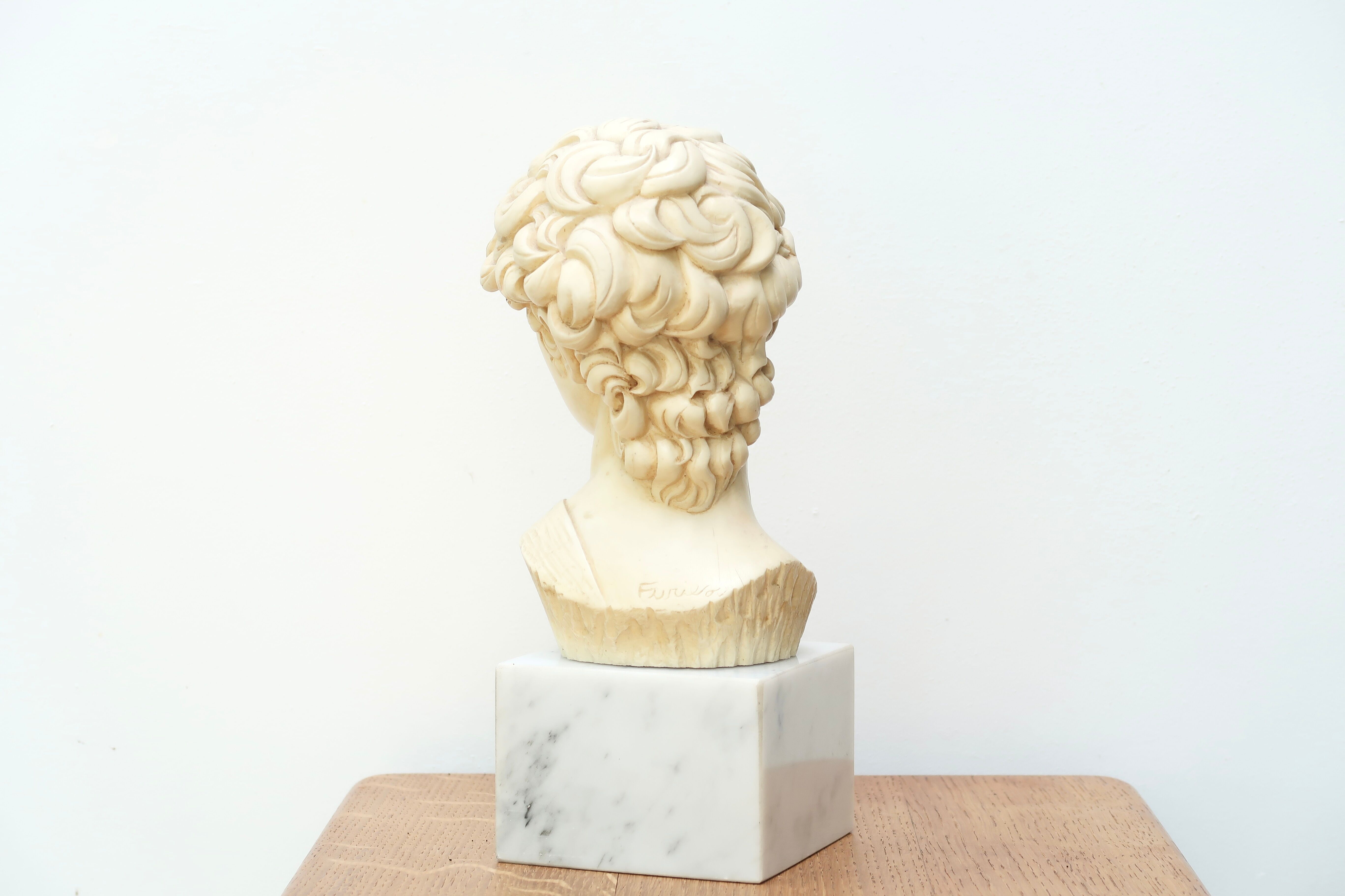 Bust of David by Michelangelo, 50s