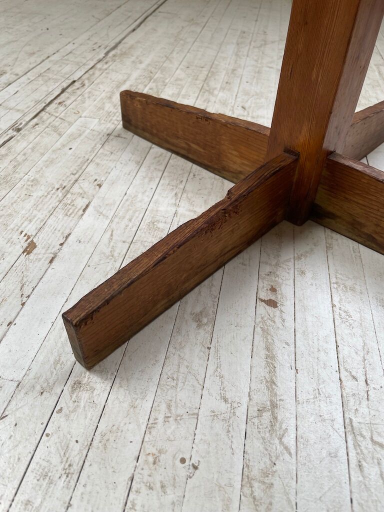 Patère wears pine coat 70