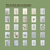 Lot of 2 vintage botanical illustrations from 1978 - including Stellaire - plant and herb plates