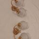 Pair wall lamp Hollywood Regency