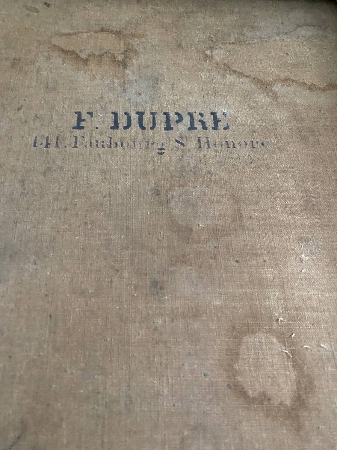 Still life with mimosa