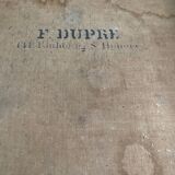 Still life with mimosa