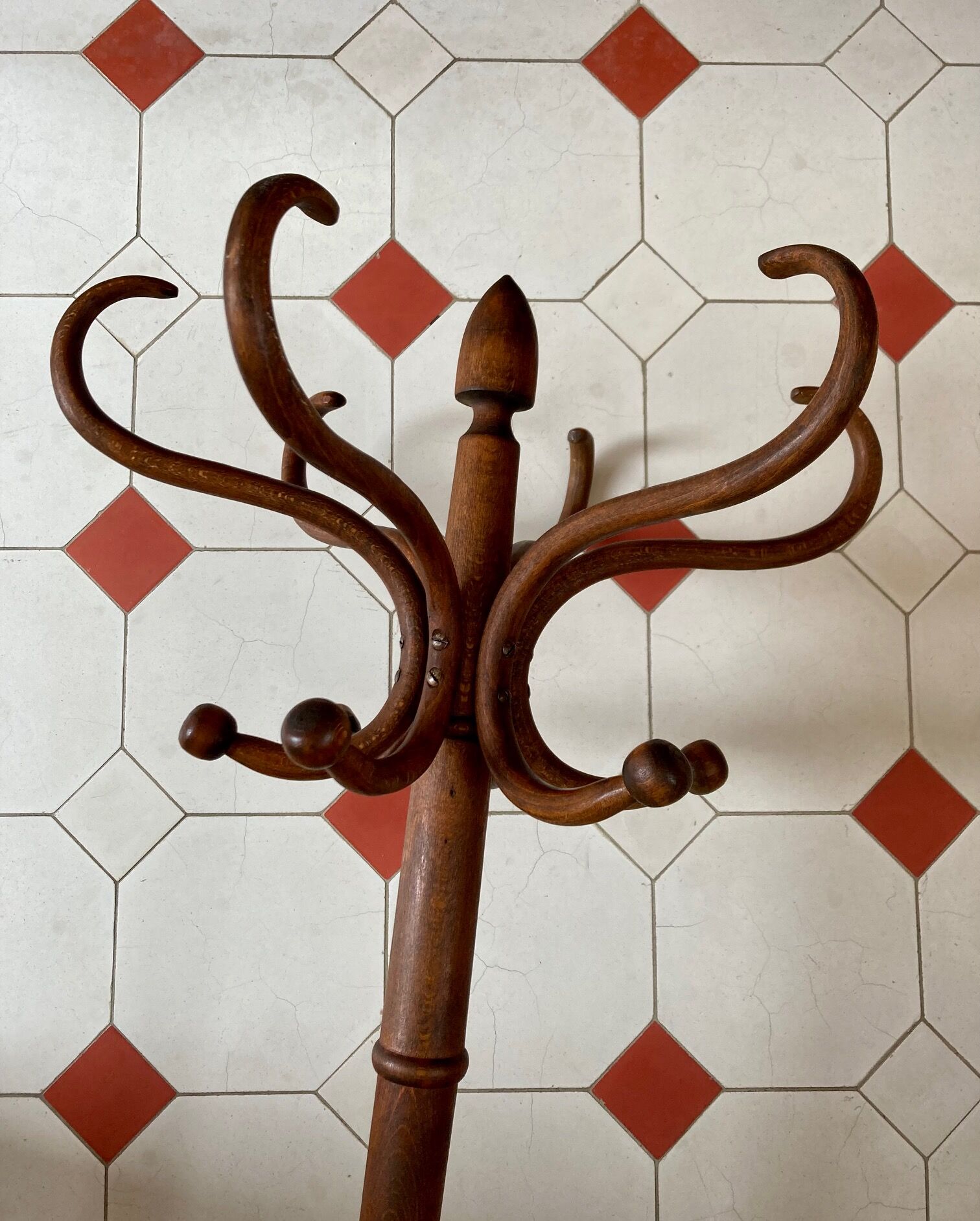 Old curved wood parrot coat rack
