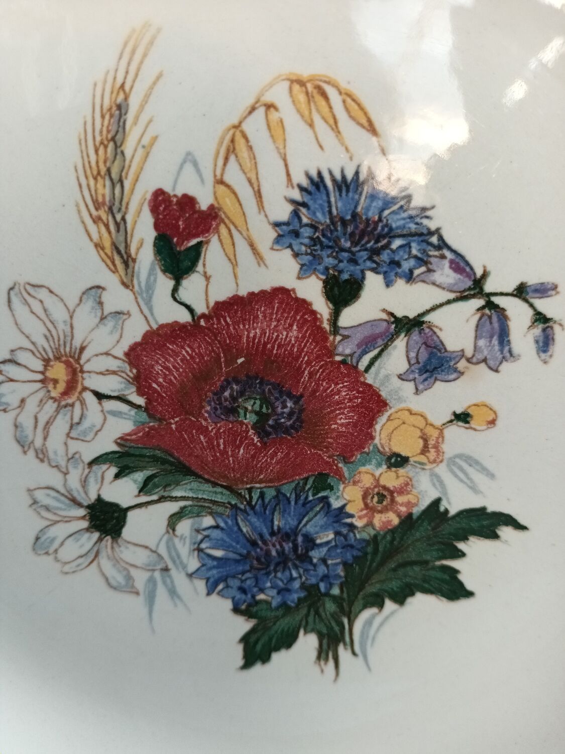 Dish of Sarreguemine