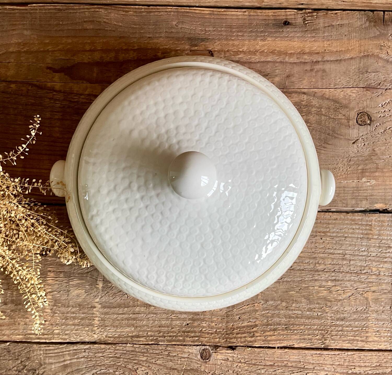 Soup tureen Gien France