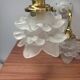 Paire d’appliques murales tulipes fleurs