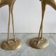 Herons brass vintage duo