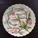 Bird plate in dabbling