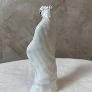 Porcelain virgin
