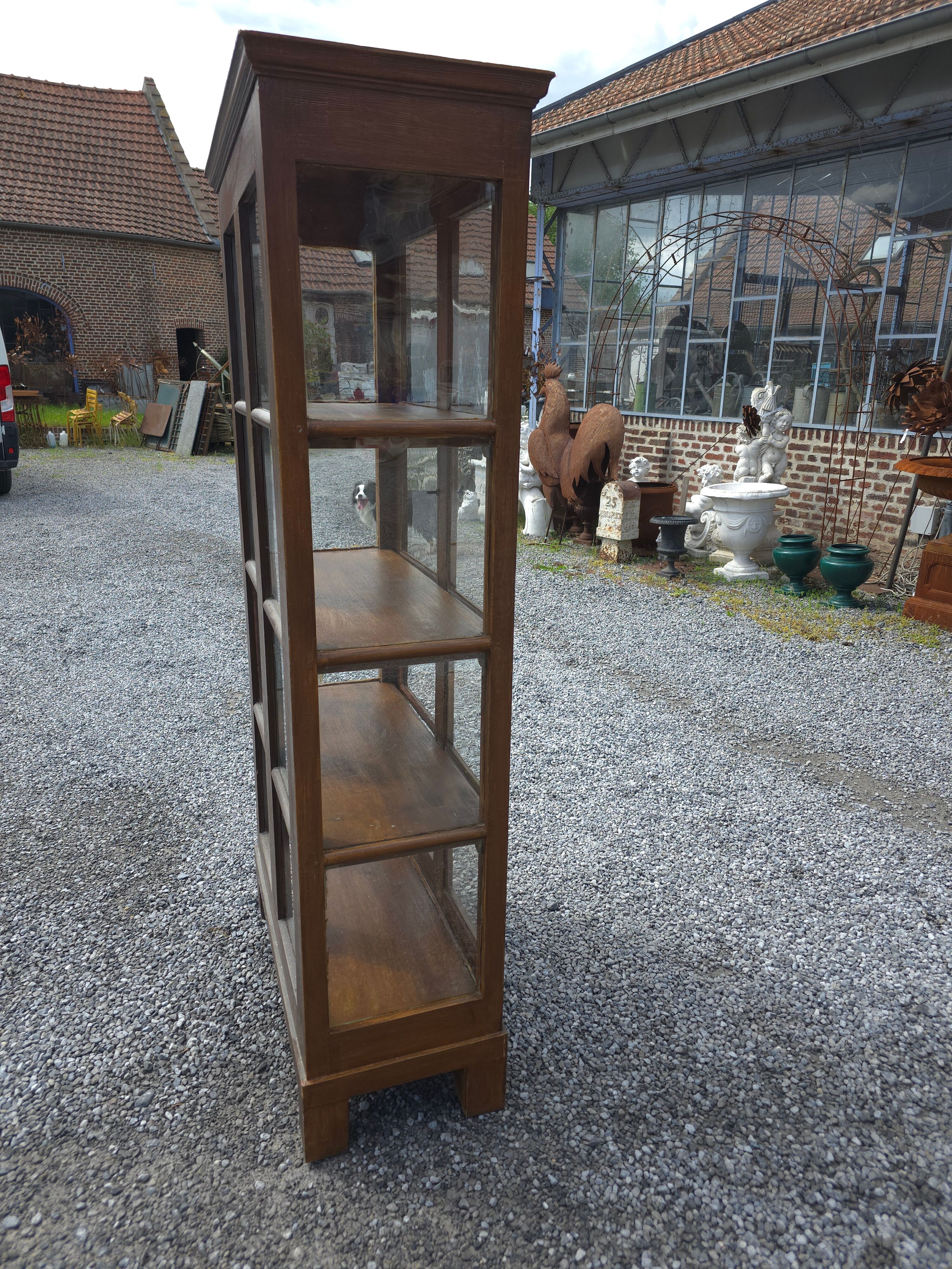 19th Century Pine Display Cabinet