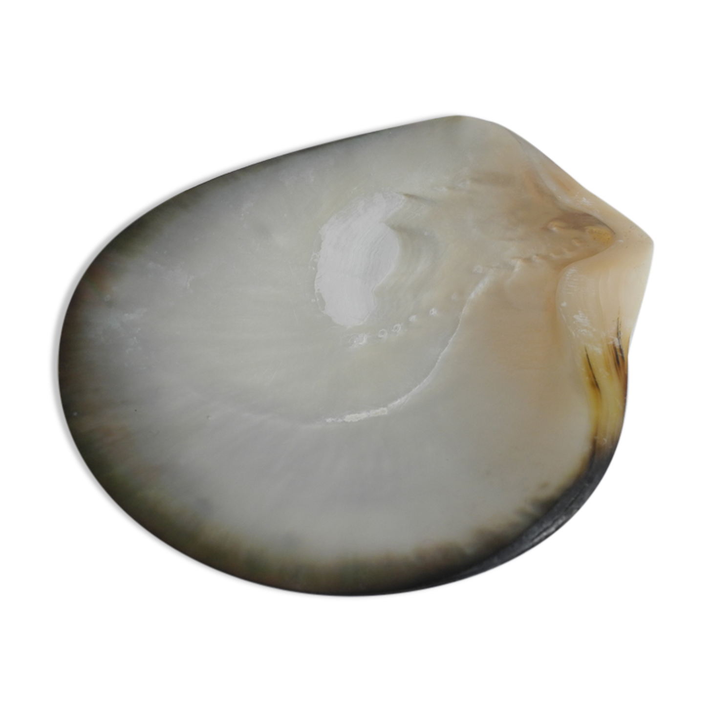 Empty pockets shell mother-of-pearl vintage glove box