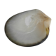 Empty pockets shell mother-of-pearl vintage glove box
