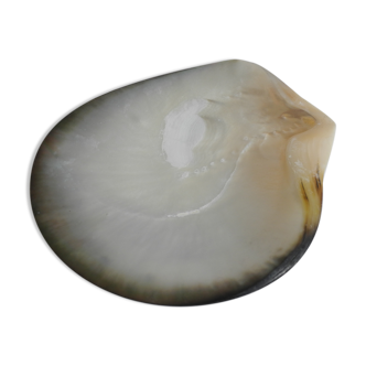 Empty pockets shell mother-of-pearl vintage glove box