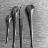 Cutlery Guy degrenne