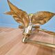 Large floral wall light in brass and gilded metal, Willy Daro, 1970.