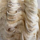 Holy water clam shell - 20x13x5 cm - Natural - 700g