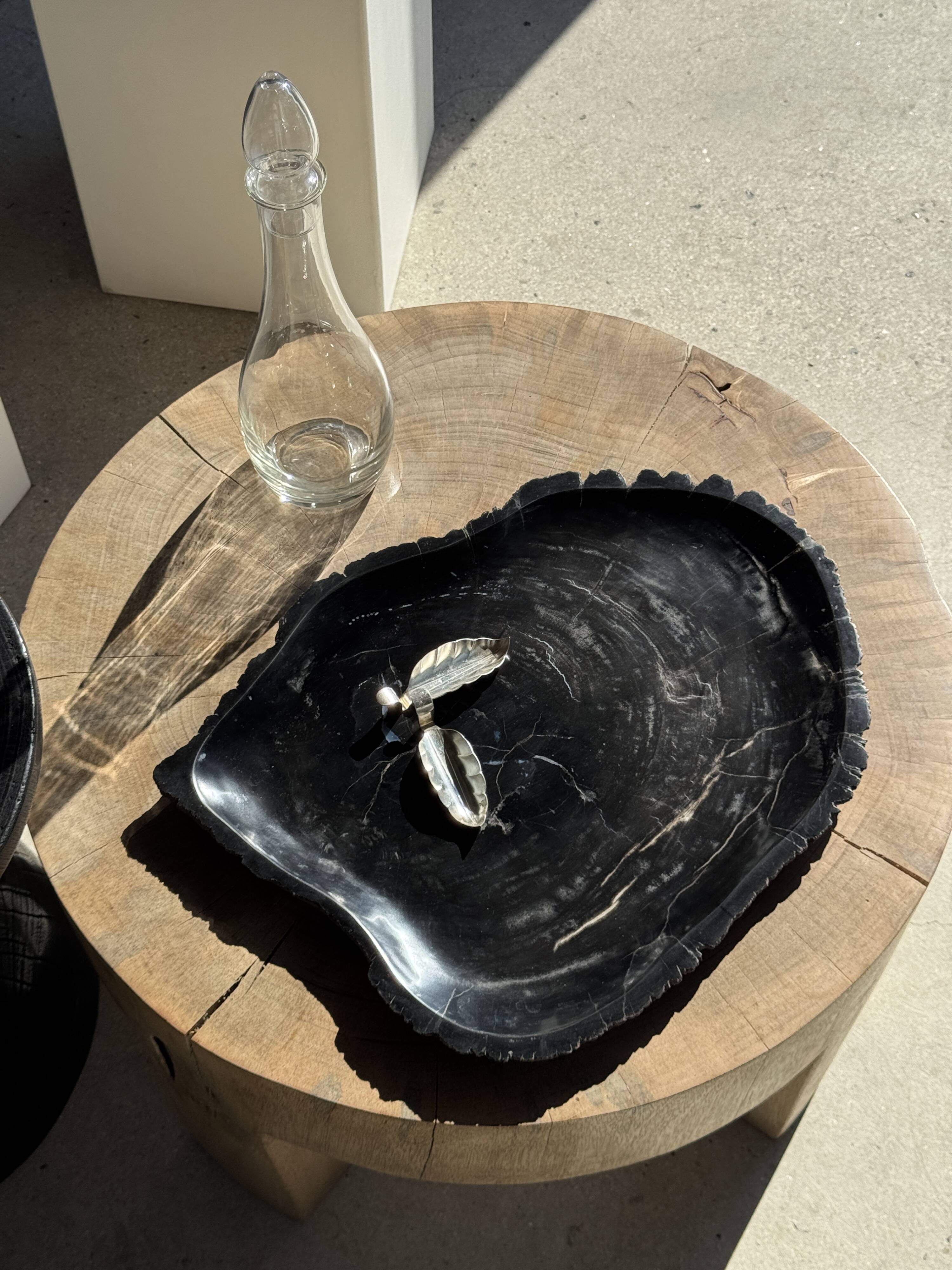 Very large black petrified wood tray or bowl D35