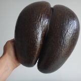 Old basket coco Seychelles